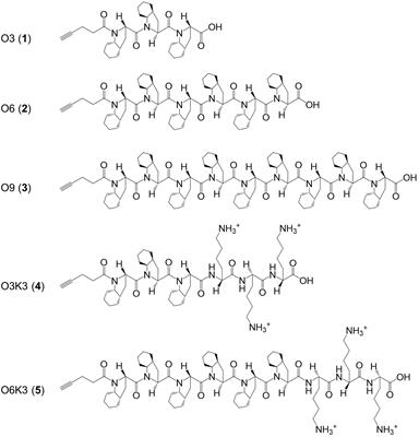 Conjugation of Synthetic Polyproline Moietes to Lipid II Binding Fragments of Nisin Yields Active and Stable Antimicrobials